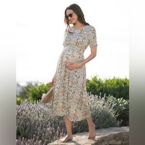 Gorgeous Seraphine Maternity/Nursing Dress